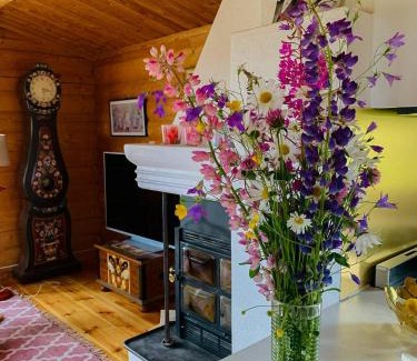 Mora Casa | Log Cabin Near Vasaloppet Ski Trail In Gopshus