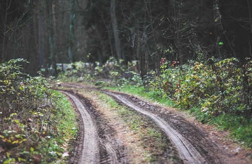 Mongo Cabina | Log Cabin Off Grid, unlimited hiking trails, natural forest
