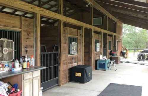 Morriston Cabina | Log cabin on a lush 15 acre private horse farm