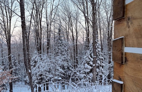 Haliburton Cabina | Log cabin on the hill