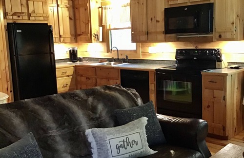 Burnsville Cabina | Cabaña de madera - Directamente en el río South Toe