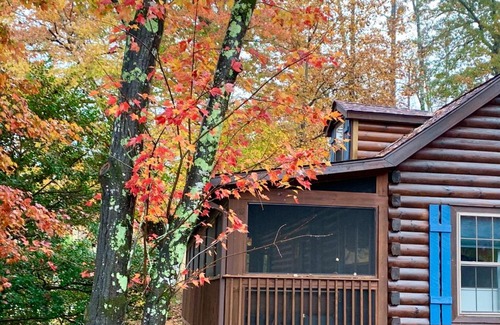 Lake Lure Casa | Log Cabin Walkable to Lake Lure & Chimney Rock - Blue Skies