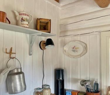 Folldal Casa | Log Cabin With Views Of Rondane Mountains