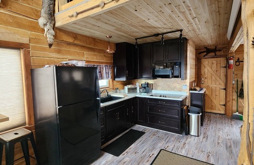 Collbran Cabina | Log cabin with views , Vega Reservoir, Collbran Colorado cabin