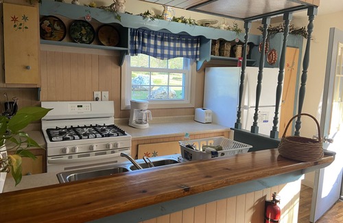 Hot Springs Cabina | Log House on the French Broad River