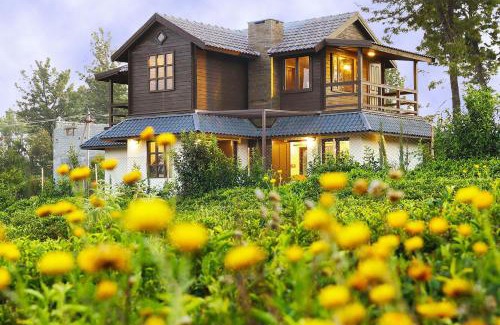 Wellington Complejo | Logan Camp Ooty