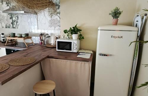 Cour-Cheverny Apartamento | Logement entier - Chambre bali - sdb - cuisine