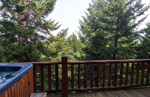 Snowshoe Condominio | Loggers Run Lane by Casago