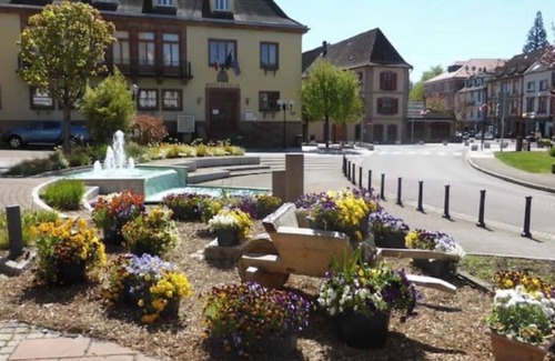 Niederbronn-les-Bains Apartamento | Logis 1 des Bergers