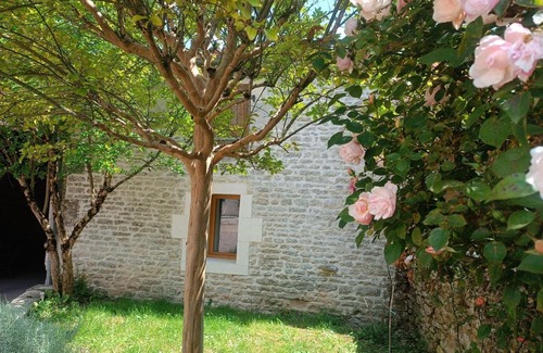 Asnieres-sur-Nouere Casa | Logis de l'Olivier