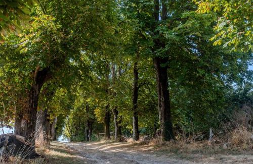 Vindelle Casa | Logis des Marronniers