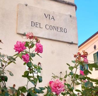 Pietra La Croce Apartamento | LoLé sulla Via del Conero