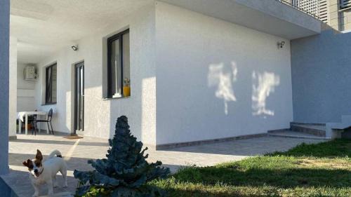 Primorski Villa | Lola seaview guest house. Уютный Домик в Варне