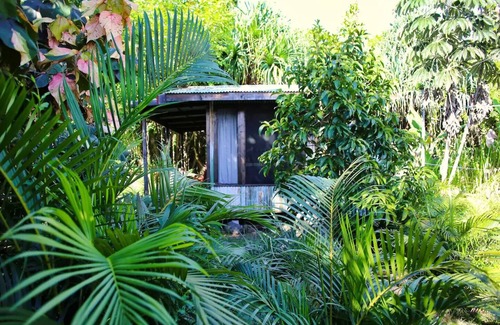 Waa Waa Casa | Loloma Jungle Cottage near Ocean