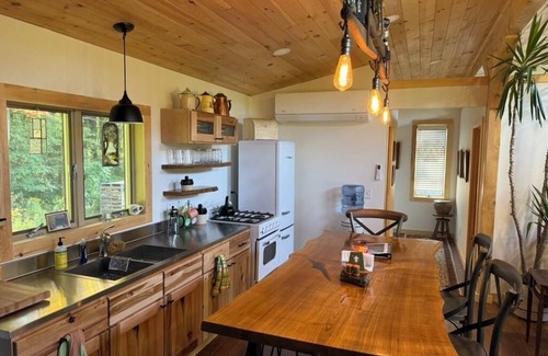 Scottsburg Cabina | Lone Birch Cabin in Dansville NY