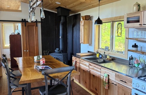 Scottsburg Cabina | Lone Birch Cabin in Dansville NY