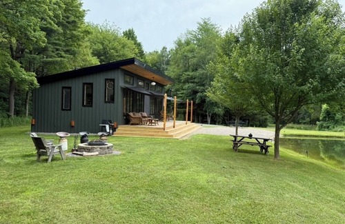 Scottsburg Cabina | Lone Birch Cabin in Dansville NY