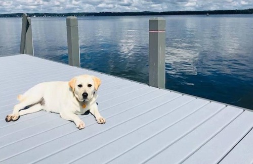 Markesan Casa | Longview Lodge - ¡Un paquete completo!🐾