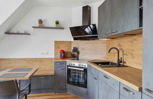 Benneckenstein Apartamento | Look forward to a wonderful break in this luxurious vacation apartment close to lots of activities.