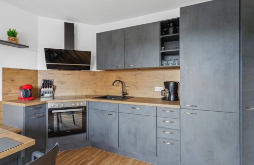 Benneckenstein Apartamento | Look forward to a wonderful break in this luxurious vacation apartment close to lots of activities.