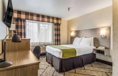 Poulsbo Hotel | Look No Further! Pet-friendly Property with FREE Parking and Breakfast!