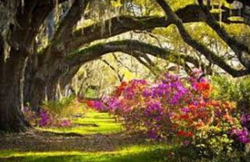 Johns Island Apartamento | Loo’s Roost A small suburban farm setting with Charleston area amenities