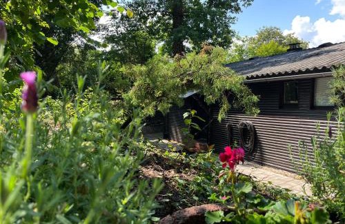 Bogel Casa | Loreley Hideaway