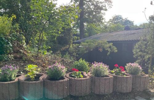 Bogel Casa | Loreley Hideaway