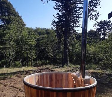 Malalcahuello Chalet De Esquí | Los Cantos del Agua