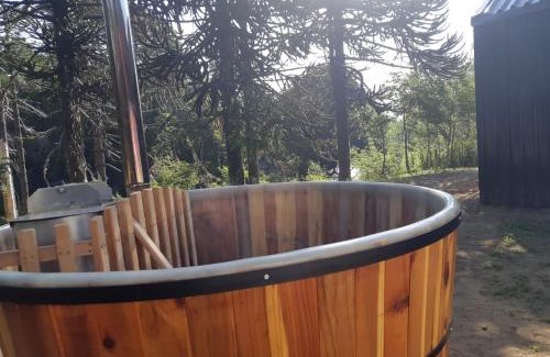 Malalcahuello Chalet De Esquí | Los Cantos del Agua