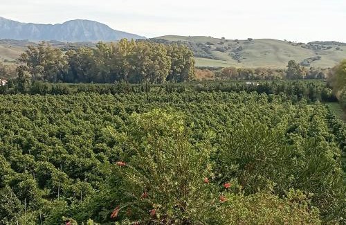 Jimena de la Frontera Casa | LOS DOS CEDROS
