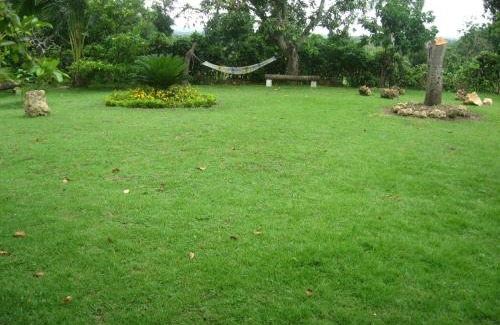 San Cristobal Casa | Los Palmares Guest House & Eventos