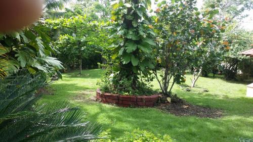 San Cristobal Casa | Los Palmares Guest House & Eventos