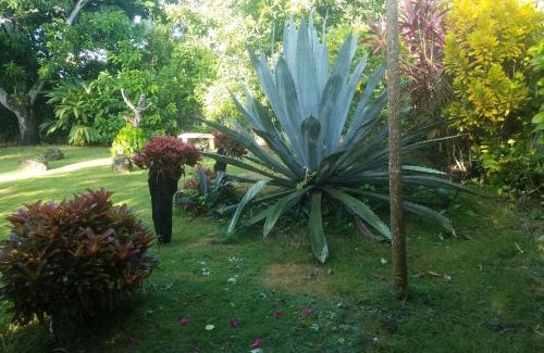 San Cristobal Casa | Los Palmares Guest House & Eventos