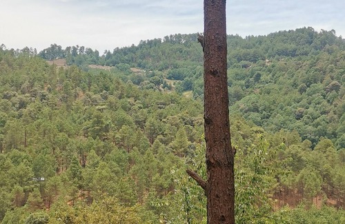 San Sebastián Río Hondo Cabina | LOS PINOS MAGICOS Cabin