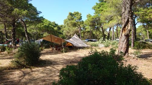 Cove Murtar Otro | Losinj Glamping - Camp Čikat - Wild