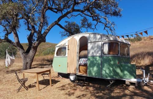 Luzianes Otro | Lost Paradise - Cosy Wagon