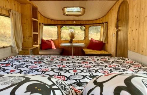 Luzianes Otro | Lost Paradise - Cosy Wagon