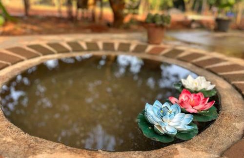 Auroville Casa | Lotus Garden Guest House