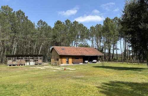 Linxe Casa | Lou coutiot
