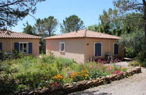 Cebazan Casa | Lou Daro