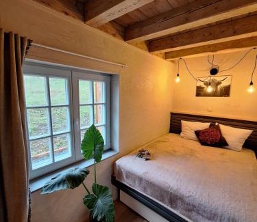 gmina Lewin Kłodzki Casa | Lou-krówka