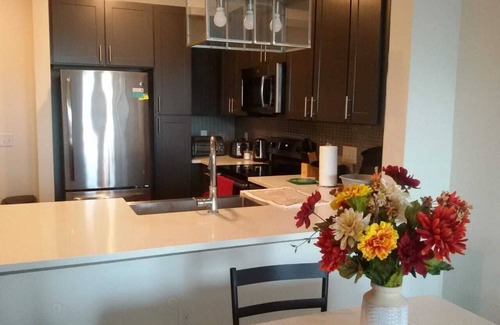Conroe Apartamento | Lovely 1 BR 1Bath in a Convenient Location - Huge Fall Discount
