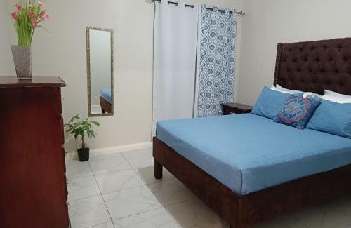 New Kingston Apartamento | Lovely 2 BedRoom c̅ Netflix across National Stadium Kingston