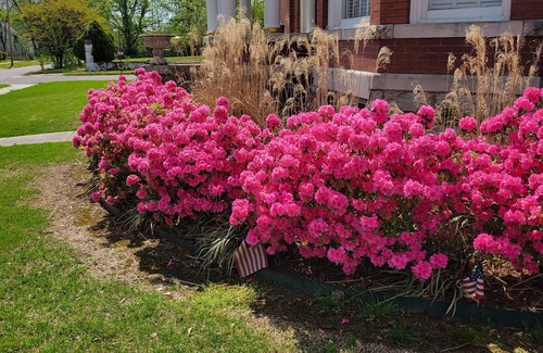Fort Smith Casa | lovely historic mansion close to downtown river front walking trail