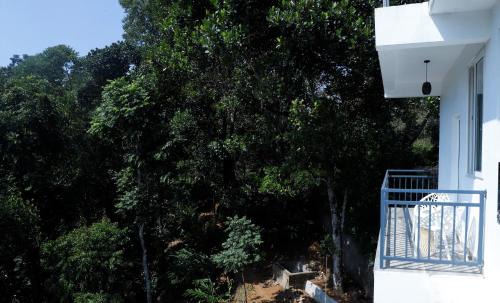 Aadit Casa | Lovely Home Stay Munnar