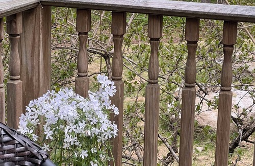 Oxford Cabina | Lovely, Lake Front 2-Bedroom Cabin with Porch and Dock on Saturday Pond