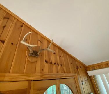 Head Lake Casa | Lovely waterfront private cottage with hot tub in Kawartha Lakes