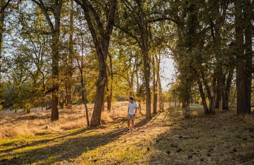 Mariposa Casa | Lovers nest by Casa Oso with private hiking trails and pond