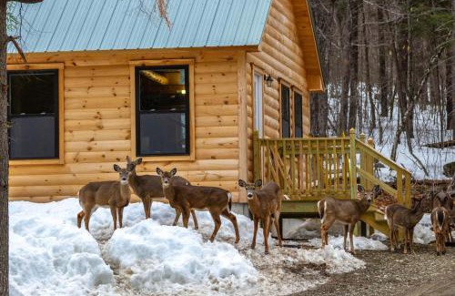 Greenville Casa | Lower Wilson Pond Refuge